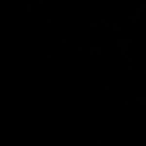 Meet your Posher, Josue